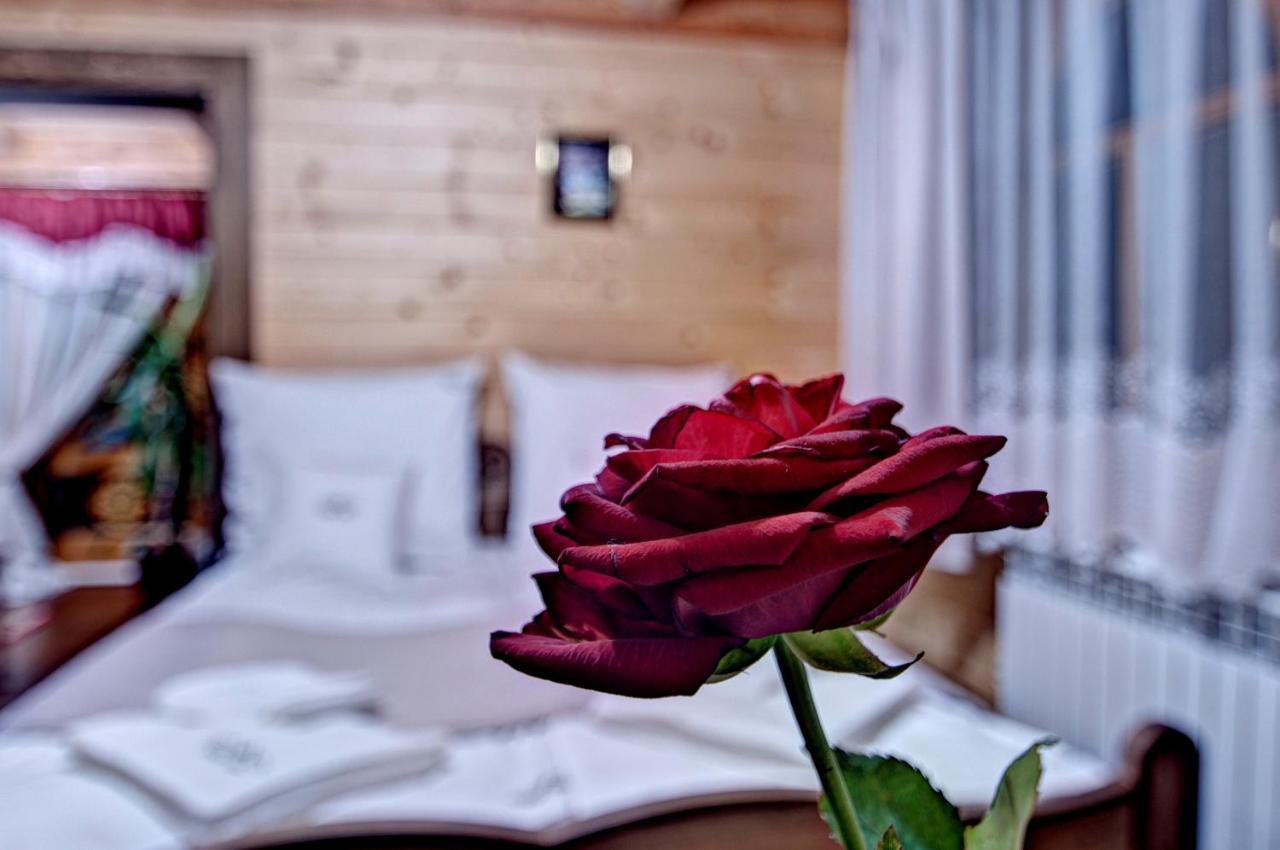 Willa Topor Witów Dış mekan fotoğraf